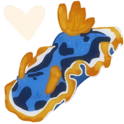 a pyjama slug, a kind of sea slug, with a cream-coloured heart in the corner of the image.